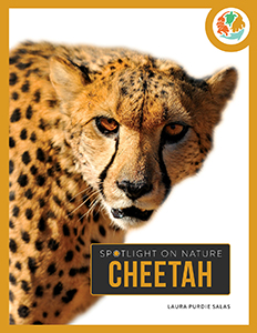 Cover Art for Cheetah