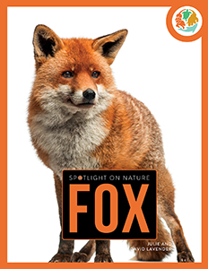 Cover Art for Fox