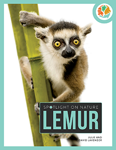 Cover Art for Lemur