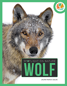 Cover Art for Wolf