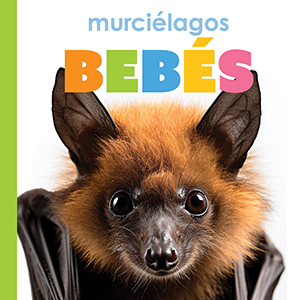 Cover Art for Murcielagos bebes