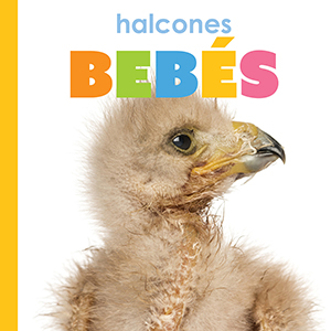 Cover Art for Halcones bebes