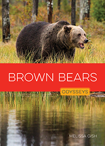 Cover Art for Brown Bears