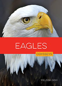 Cover Art for Eagles