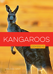 Cover Art for Kangaroos