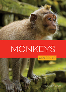 Cover Art for Monkeys