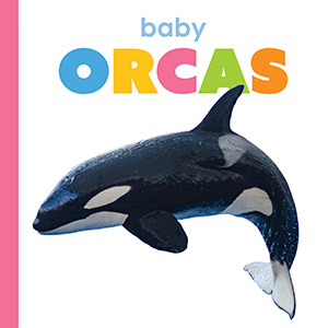 Cover Art for Baby Orcas
