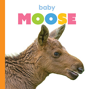 Cover Art for Baby Moose