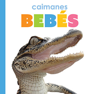 Cover Art for Caimanes bebes