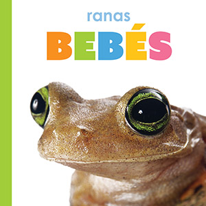 Cover Art for Ranas bebes