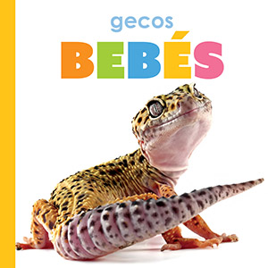 Cover Art for Gecos bebAs