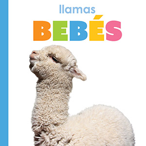 Cover Art for Llamas bebes