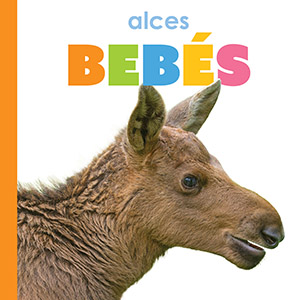 Cover Art for Alces bebes