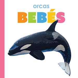 Cover Art for Orcas bebAs