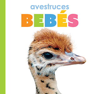 Cover Art for Avestruces bebes