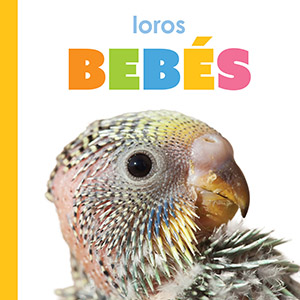 Cover Art for Loros bebes