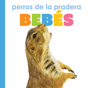 Cover Art for Perros de la pradera bebes