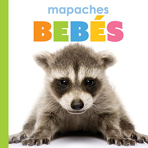 Cover Art for Mapaches bebes