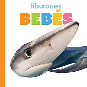 Cover Art for Tiburones bebes