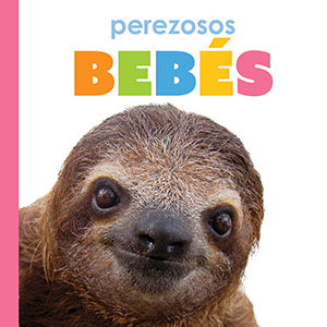 Cover Art for Perezosos bebes