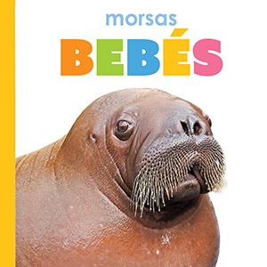 Cover Art for Morsas bebes