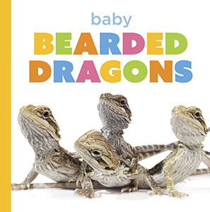 Cover Art for Baby Bearded Dragons