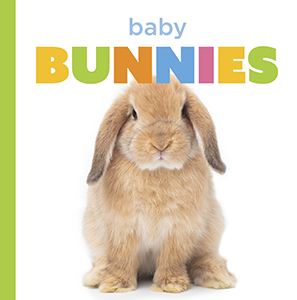 Cover Art for Baby Bunnies