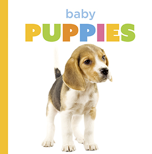 Cover Art for Baby Puppies