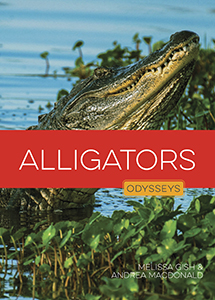Cover Art for Alligators