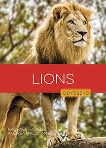 Cover Art for Lions