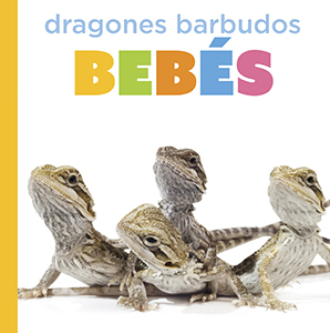 Cover Art for Dragones barbudos bebés