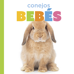 Cover Art for Conejos bebés