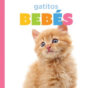 Cover Art for Gatitos bebés