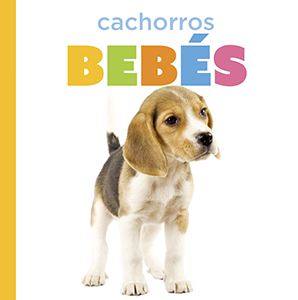 Cover Art for Cachorros bebés