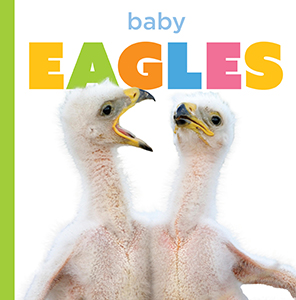 Cover Art for Baby Eagles