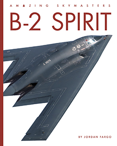 Cover Art for B-2 Spirit