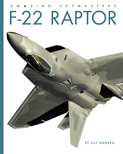 Cover Art for F-22 Raptor