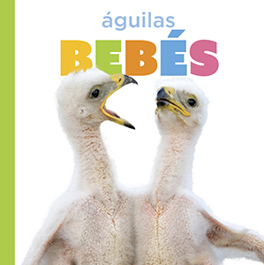 Cover Art for …guilas bebés