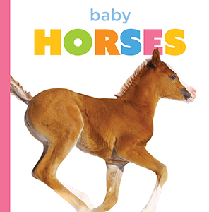 Cover Art for Baby Horses