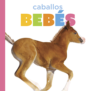 Cover Art for Baby Horses