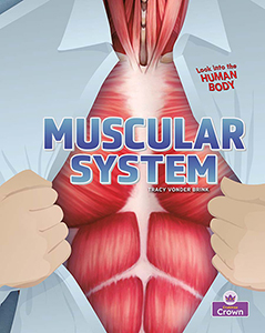 Cover Art for Muscular System