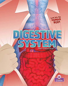 Cover Art for Digestive System
