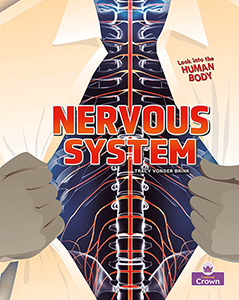 Cover Art for Nervous System