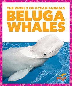 Cover Art for Beluga Whales