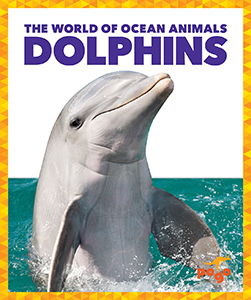 Cover Art for Dolphins