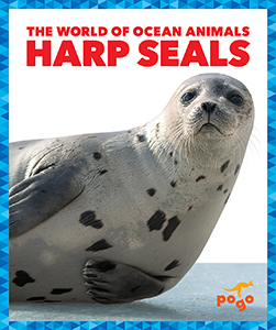Cover Art for Harp Seals