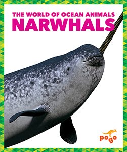 Cover Art for Narwhals