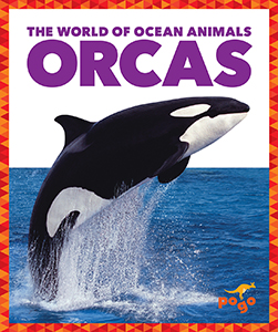 Cover Art for Orcas