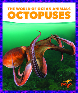 Cover Art for Octopuses