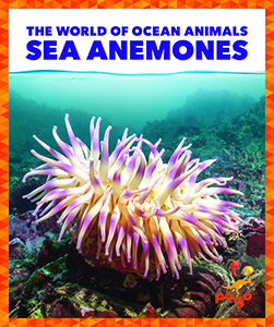 Cover Art for Sea Anemones